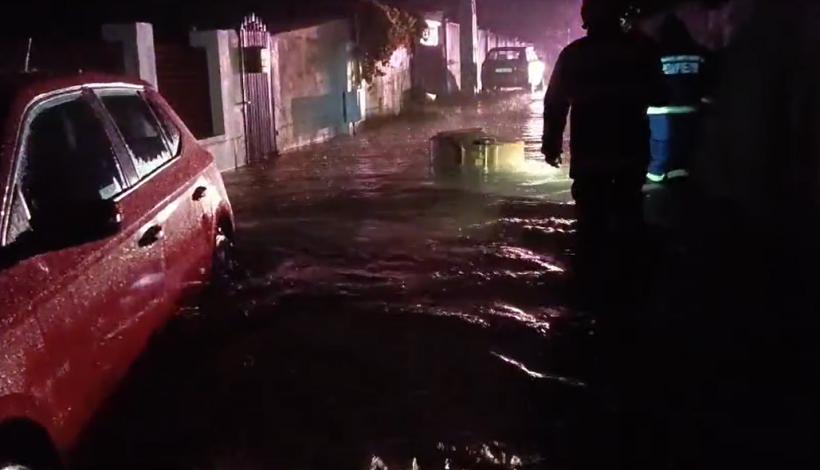 Ploile au făcut ravagii în județul Constanța 18915030