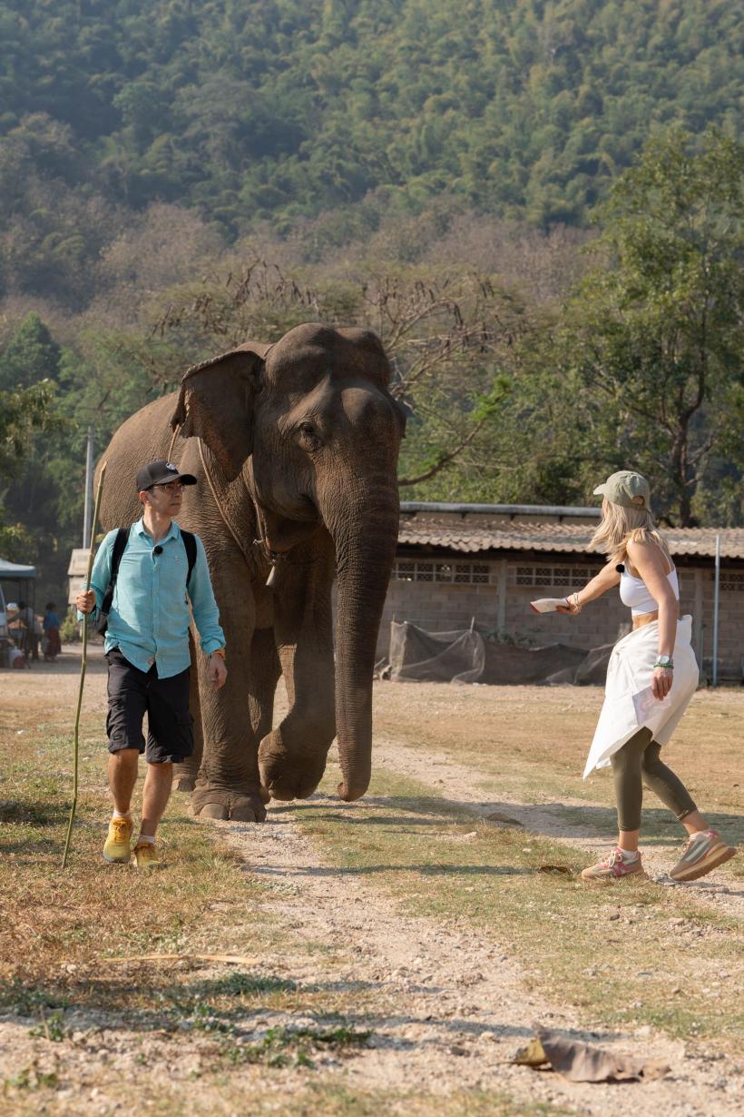 Start fulgerător pe Drumul Zeilor, în cursa Asia Express, duminica aceasta, la Antena 1: concurenții au parte de cel mai greu început al aventurii din toate cele șapte sezoane 18914920