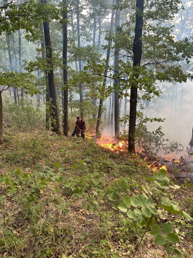Incendiu uriaș într-o pădure din Mehedinți. Un elicopter Black Hawk va ajunge în zonă 18915401