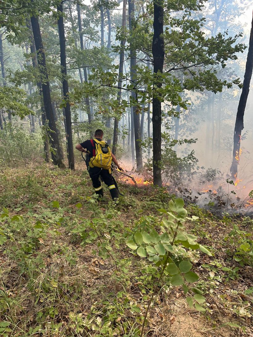 Incendiu uriaș într-o pădure din Mehedinți. Un elicopter Black Hawk va ajunge în zonă 18915402