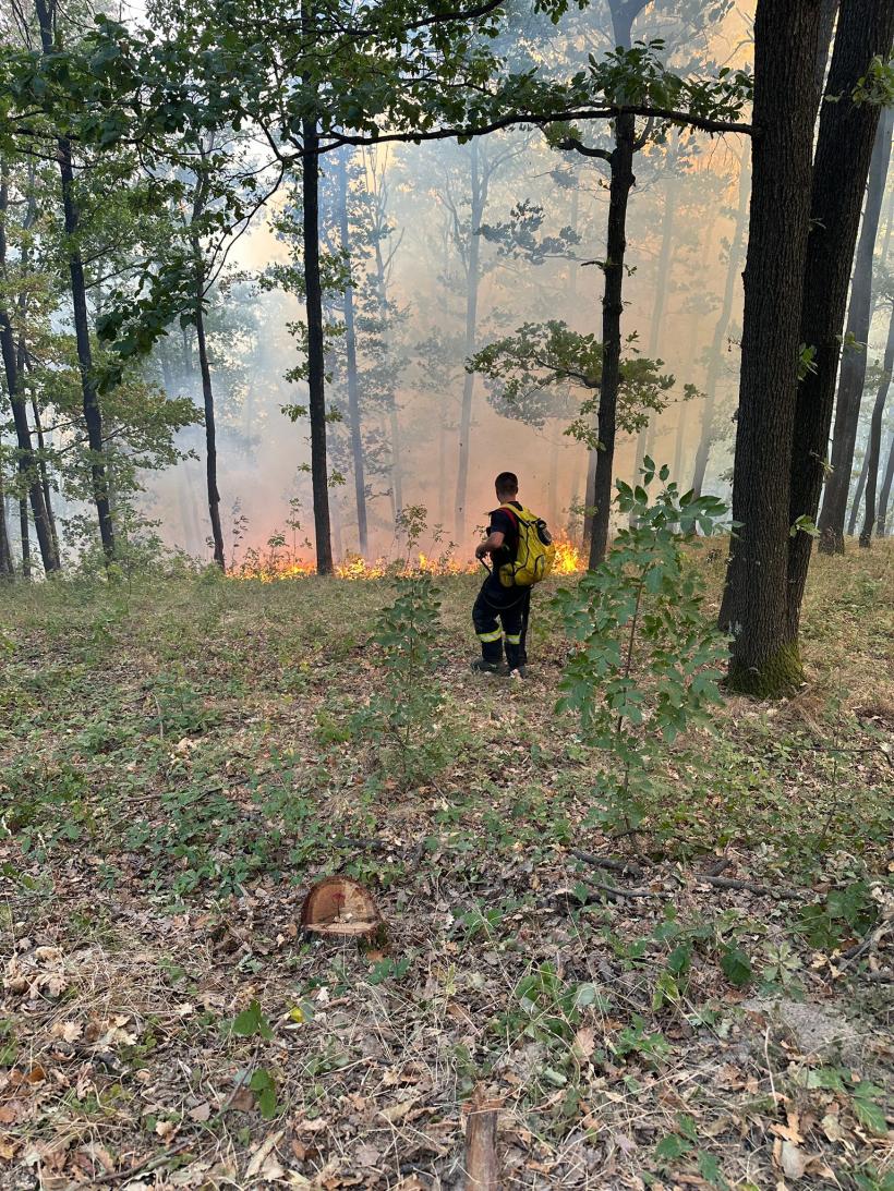 Incendiu uriaș într-o pădure din Mehedinți. Un elicopter Black Hawk va ajunge în zonă 18915403