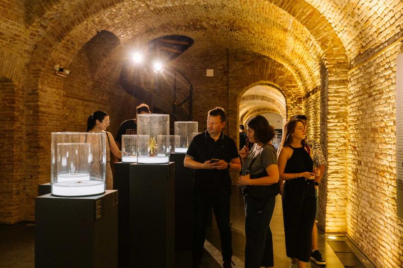 Expoziția „Universul lui Salvador Dalí” a ajuns la final. Peste 100 000 de vizitatori au admirat minunatele obiecte de arta daliniene expuse la ARCUB – Hanul Gabroveni 18915391