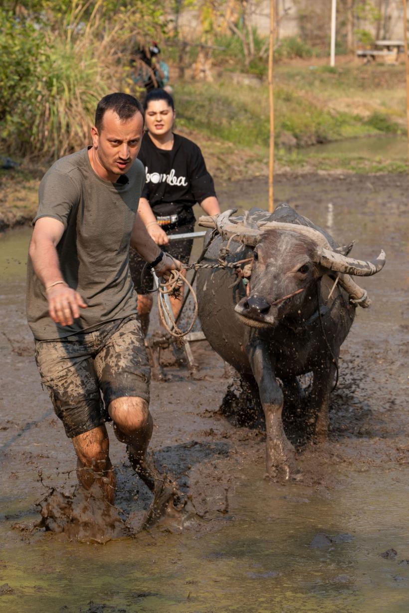 Adi Nartea și Cosmin Vîjeu au luat imunitatea în ediția de aseară Asia Express, lider de piață. Diseară: echipele, epuizate de întrecerea cu bivoli, din cursa imunității mici 18915747