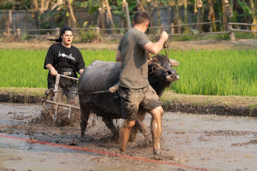 Adi Nartea și Cosmin Vîjeu au luat imunitatea în ediția de aseară Asia Express, lider de piață. Diseară: echipele, epuizate de întrecerea cu bivoli, din cursa imunității mici 18915748