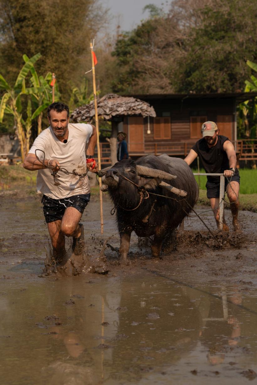 Adi Nartea și Cosmin Vîjeu au luat imunitatea în ediția de aseară Asia Express, lider de piață. Diseară: echipele, epuizate de întrecerea cu bivoli, din cursa imunității mici 18915749