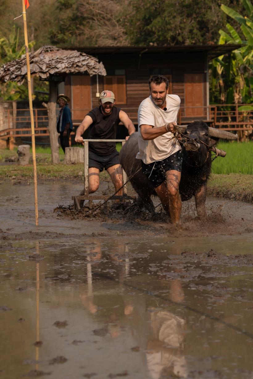 Adi Nartea și Cosmin Vîjeu au luat imunitatea în ediția de aseară Asia Express, lider de piață. Diseară: echipele, epuizate de întrecerea cu bivoli, din cursa imunității mici 18915750