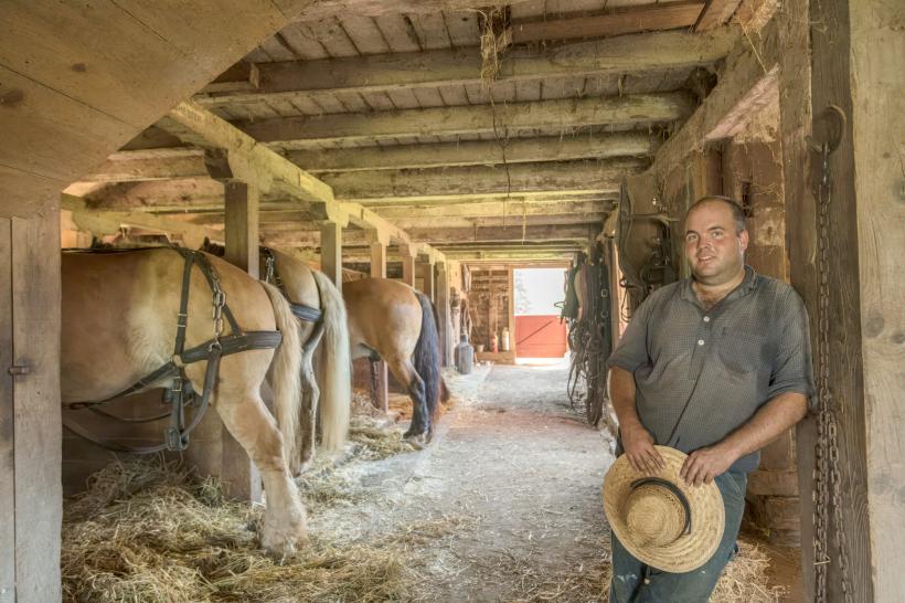 Un fel de CAP-uri, dar americane 18915902