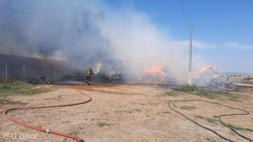 Incendiu la o fermă de măgăriţe, stins de pompieri în aproximativ şapte ore