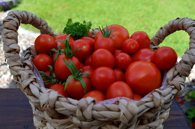 Roșiile - sunt sau nu sunt otrăvitoare aceste fructe?