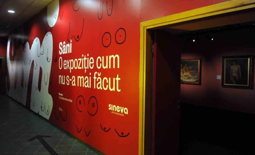 La Art Safari, în prim-plan cele mai importante femei din arta românească 18916350