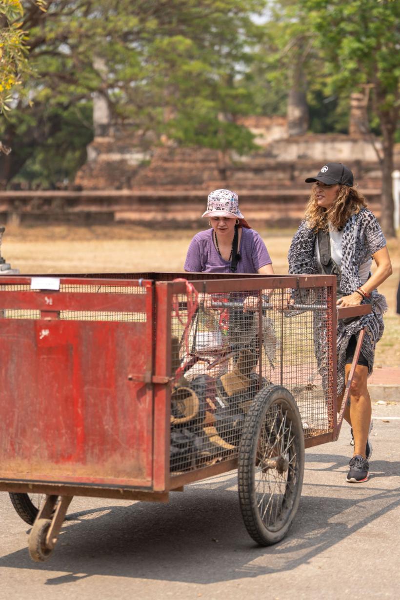 Carmen și Andreea au luat imunitatea la Asia Express. Diseară, moment șocant în cursa pentru a doua imunitate: Victor Slav și Selina s-au răsturnat cu bicicleta în lac 18916694
