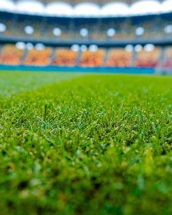 Nicuşor Dan: Gazon nou, de tip hibrid, pe Arena Naţională; acesta este la standardele impuse de UEFA 18916736