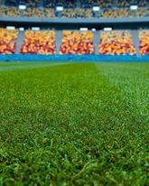 Nicuşor Dan: Gazon nou, de tip hibrid, pe Arena Naţională; acesta este la standardele impuse de UEFA 18916738
