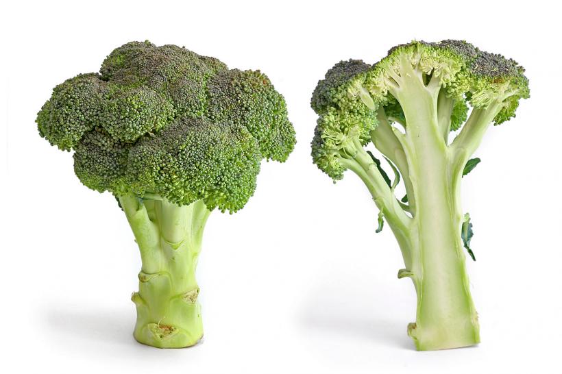 Broccoli, pavăza celulelor stem