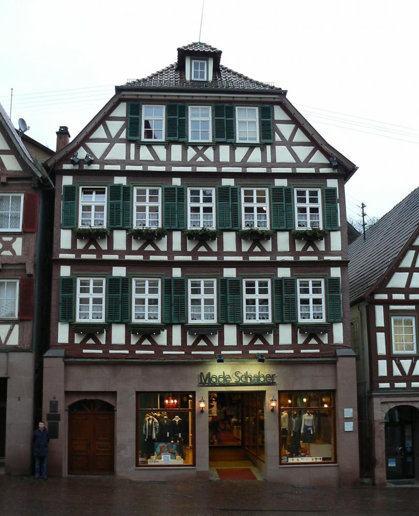 Hermann Hesse, lupul singuratic al literaturii universale 18916920