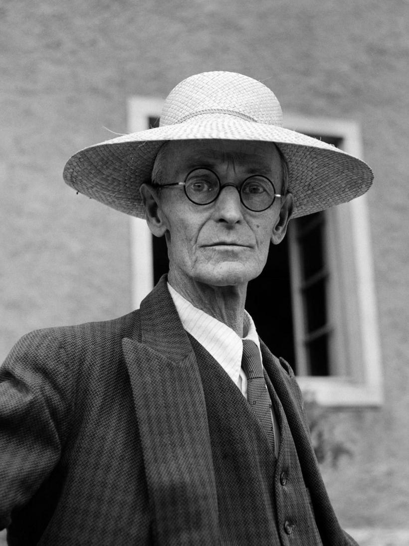 Hermann Hesse, lupul singuratic al literaturii universale