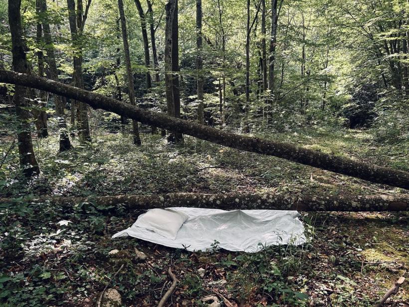 Încheierea proiectului artistic interdisciplinar All Sorts of Care pune grija în prim-plan, într-o prezentare care va  avea loc pe 14 septembrie, în București 18917358