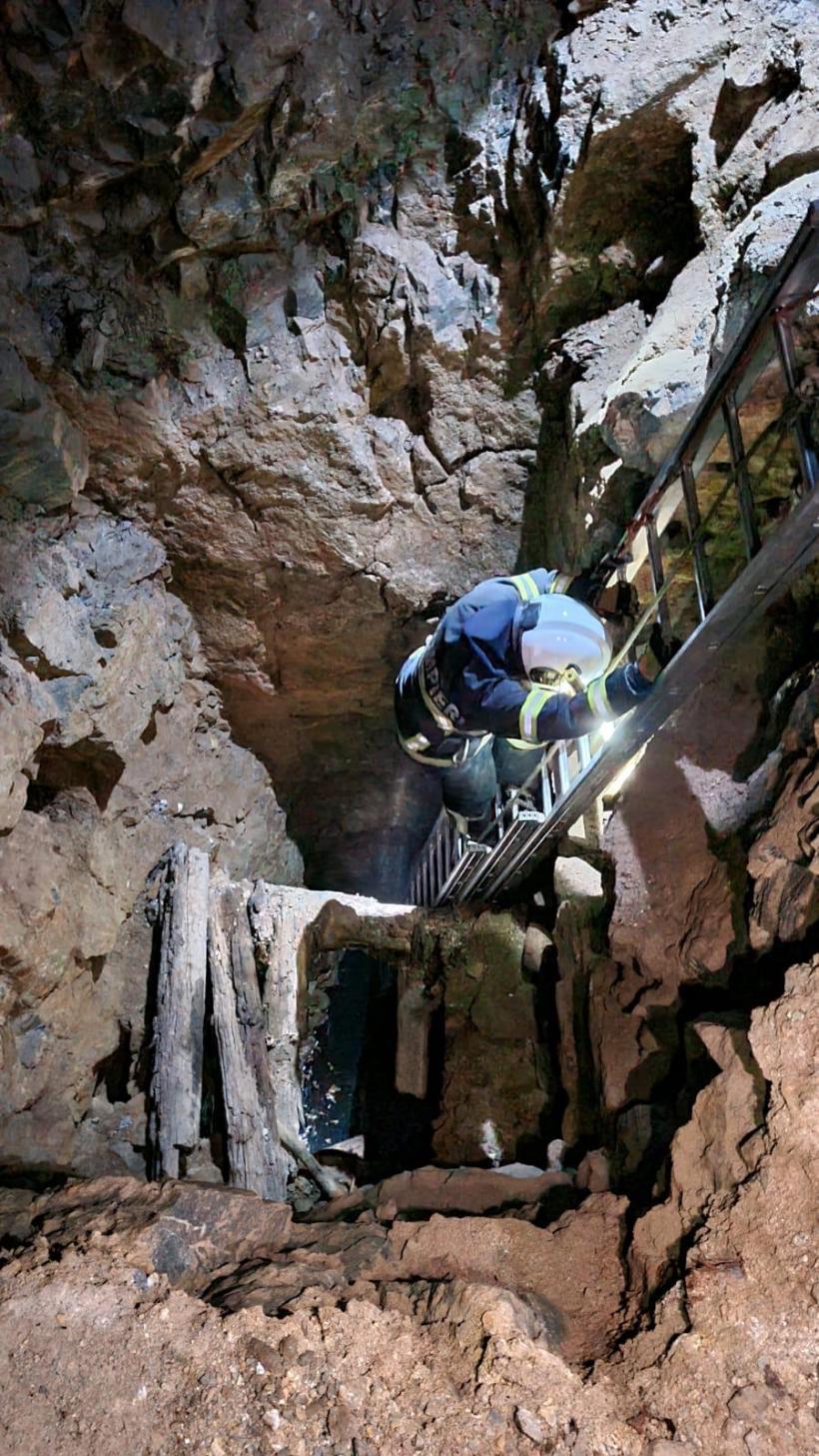 Pompierii au salvat un câine, după ce a căzut într-o groapă adâncă de aproximativ 10 metri, într-o mină dezafectată 18917583