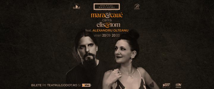 Întâlniri teatrale memorabile la TEATRUL GODOT   18917829