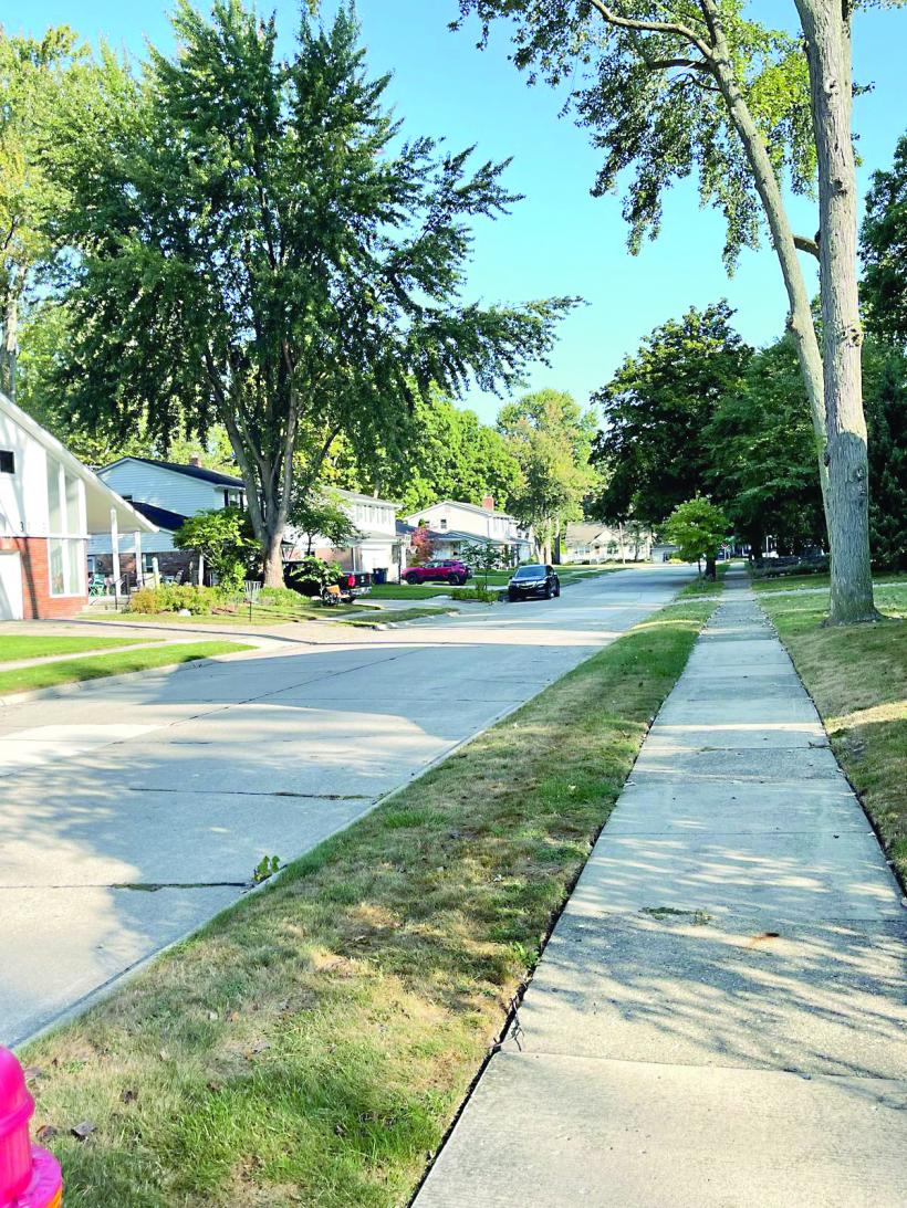 Cheia pentru a naviga prin greutățile vieții de azi 18918343