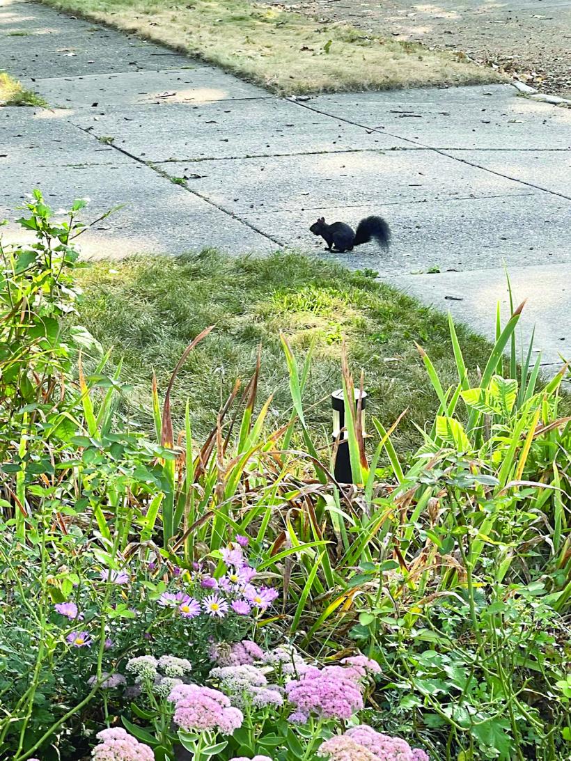 Cheia pentru a naviga prin greutățile vieții de azi 18918345