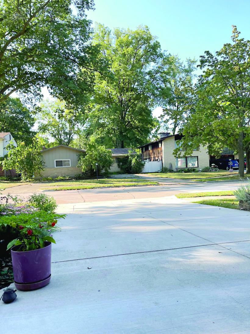 Cheia pentru a naviga prin greutățile vieții de azi 18918346