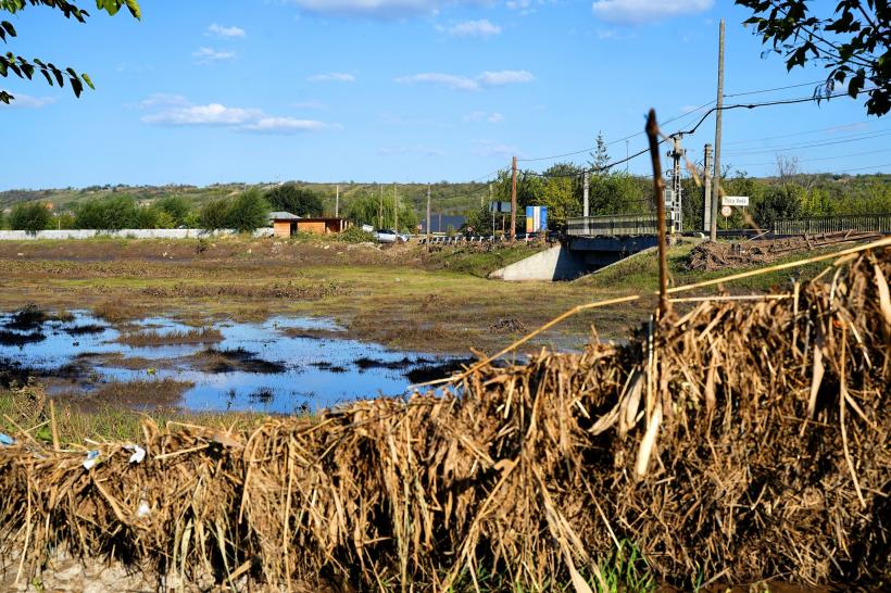 AUR anunță că își suspendă activitățile de campanie și merge în zonele inundate 18918737