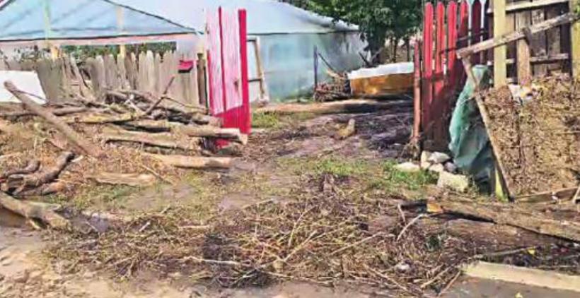 Olimpiada disperaților, la inundațiile din Vaslui. Omul care a dat cinci ture de curte în stil bras 18918706