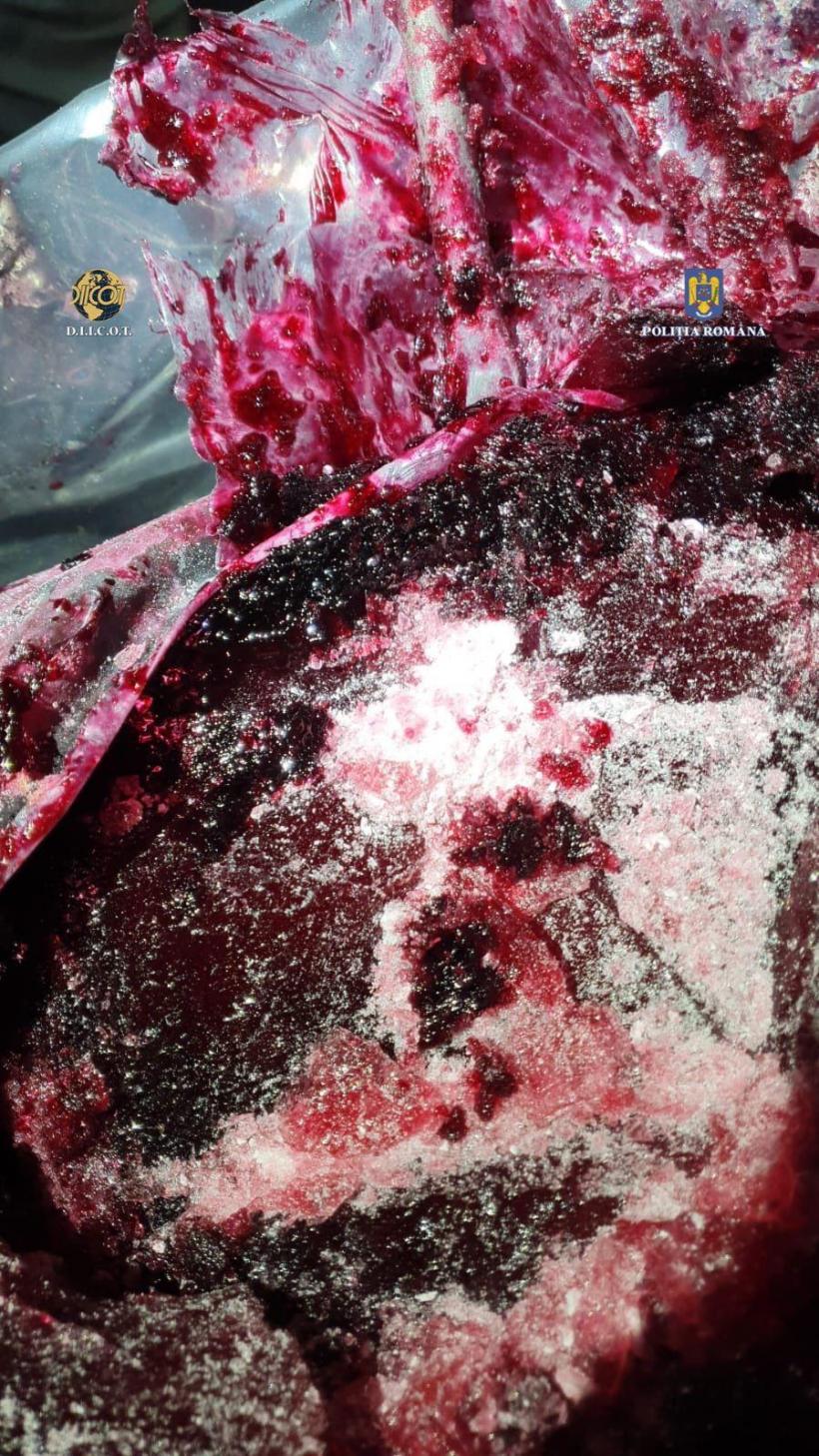 Captură record de cocaină în portul Constanța. Drogurile erau ascunse în fructe congelate 18919042