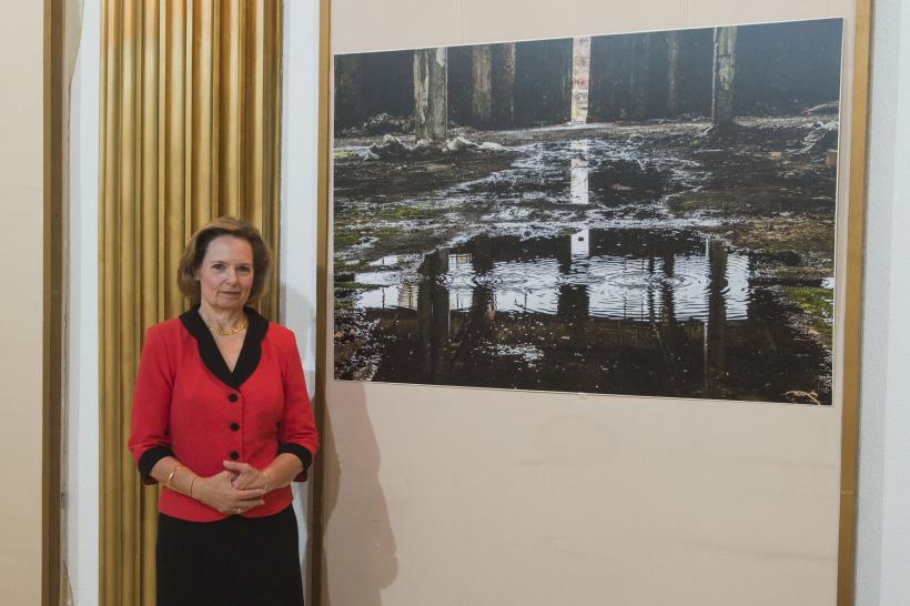 Expoziția Alteței Sale Regale Principesa Sofia a României prezentată de Institutul Cultural Român la București și la Londra 18919128