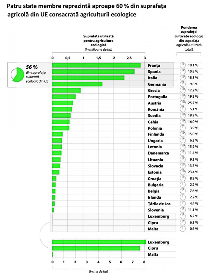 Agricultura ecologică a UE e varză 18919239