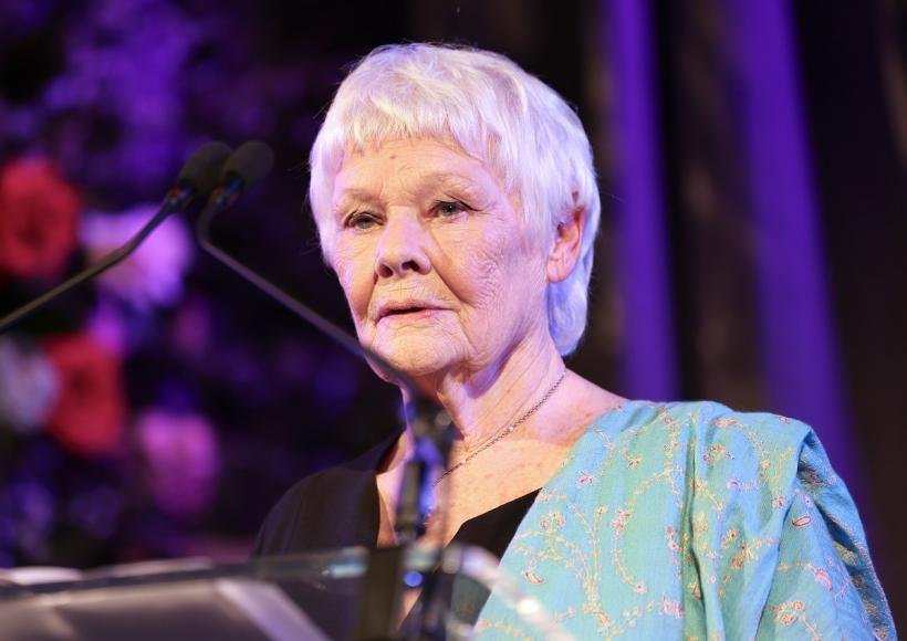 Judi Dench și John Cena - vocile chatbotului Meta AI