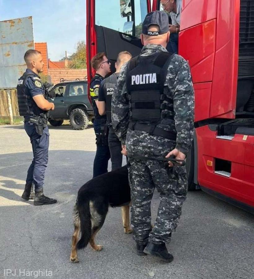 Acţiuni în forță ale poliţiştilor harghiteni. A plouat cu amenzi 18919512