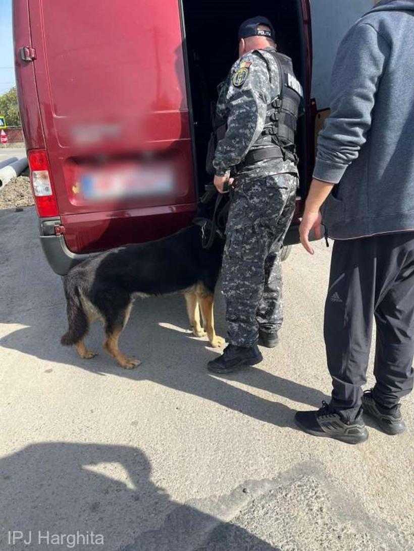 Acţiuni în forță ale poliţiştilor harghiteni. A plouat cu amenzi 18919513