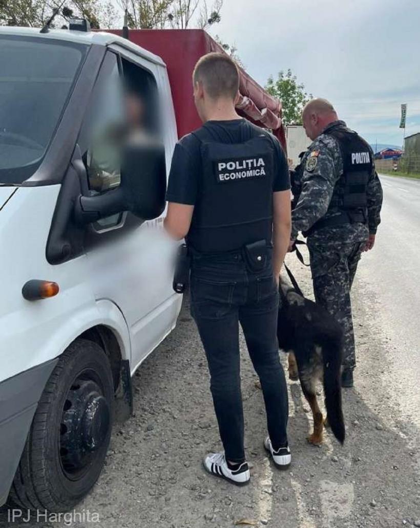 Acţiuni în forță ale poliţiştilor harghiteni. A plouat cu amenzi 18919514