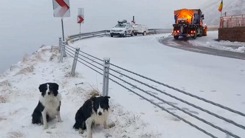 Prima ninsoare din această toamnă la Bâlea Lac