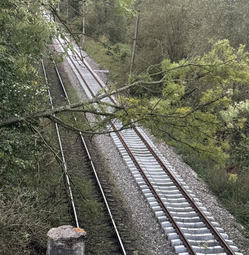 Case și străzi inundate în București, copaci căzuți și trenuri oprite la Hunedoara 18919823