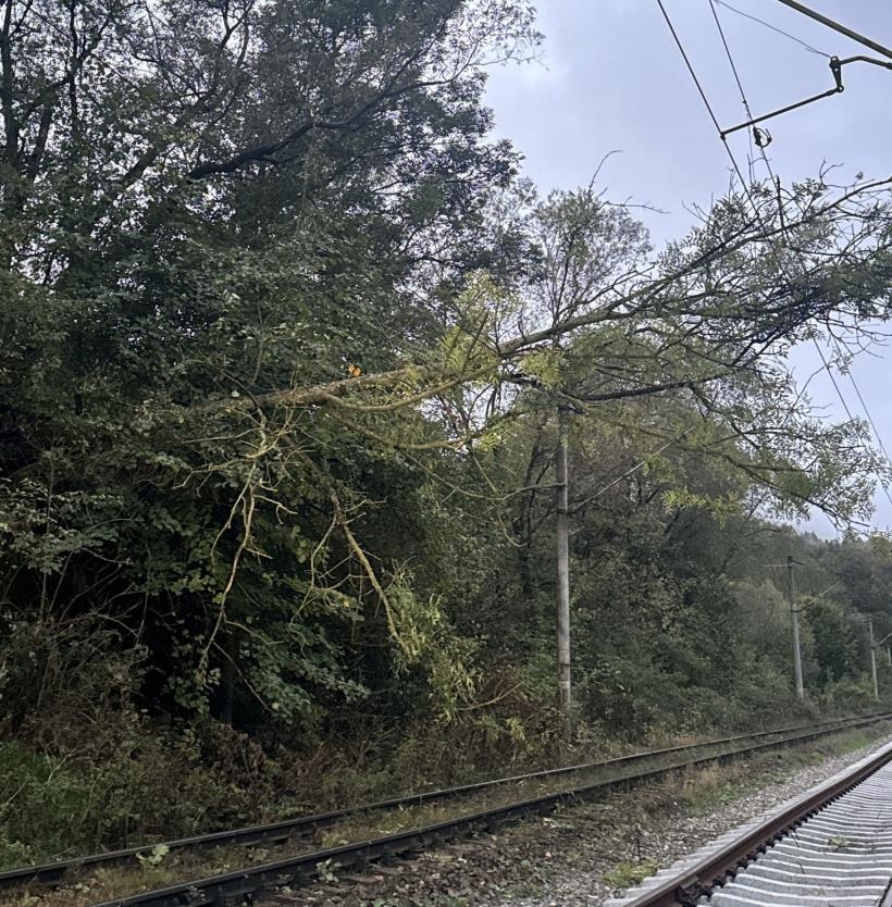 Case și străzi inundate în București, copaci căzuți și trenuri oprite la Hunedoara 18919824