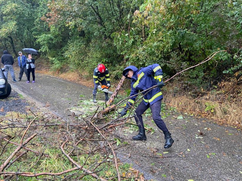 Case și străzi inundate în București, copaci căzuți și trenuri oprite la Hunedoara 18919825