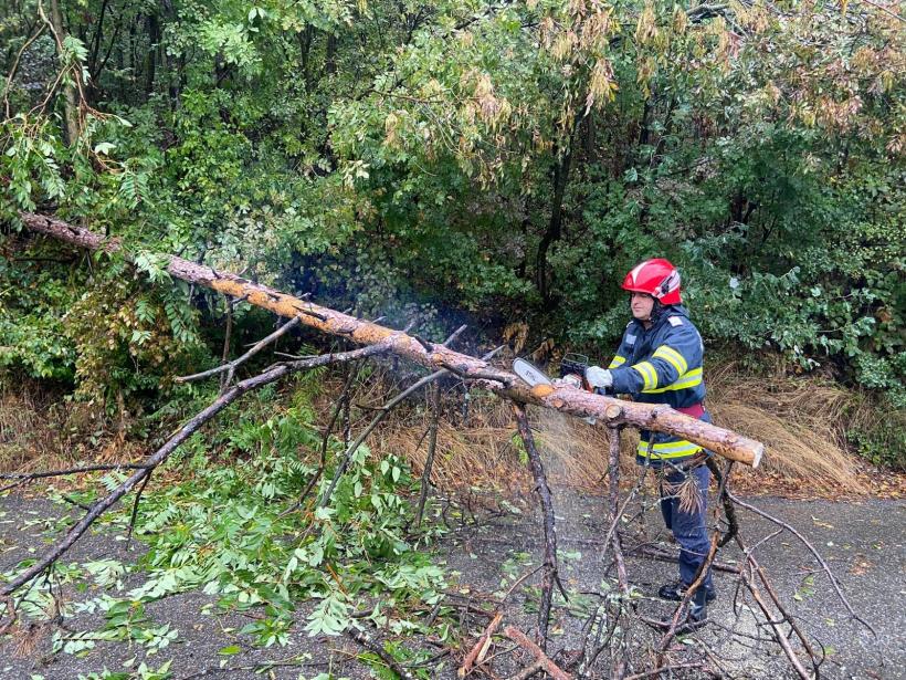 Case și străzi inundate în București, copaci căzuți și trenuri oprite la Hunedoara 18919826
