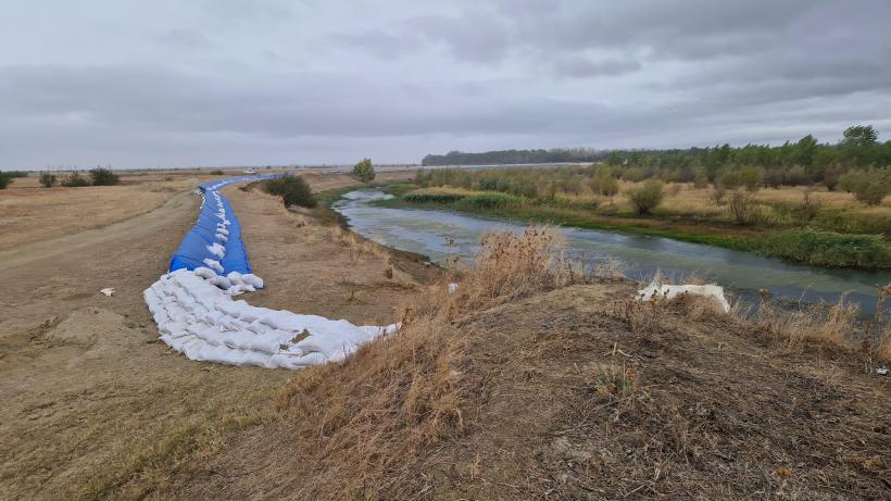 Așteptând „cicloviitura” pe Dunăre: „Nici la macaz nu ne doare!”.  Ca pe vremea lui Ceaușescu: inspecția digurilor pregătită cu tunsul boscheților 18919966