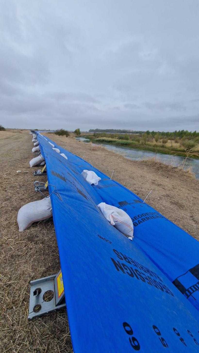 Așteptând „cicloviitura” pe Dunăre: „Nici la macaz nu ne doare!”.  Ca pe vremea lui Ceaușescu: inspecția digurilor pregătită cu tunsul boscheților 18919967