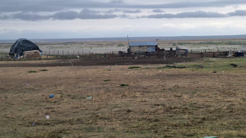 Așteptând „cicloviitura” pe Dunăre: „Nici la macaz nu ne doare!”.  Ca pe vremea lui Ceaușescu: inspecția digurilor pregătită cu tunsul boscheților 18919968