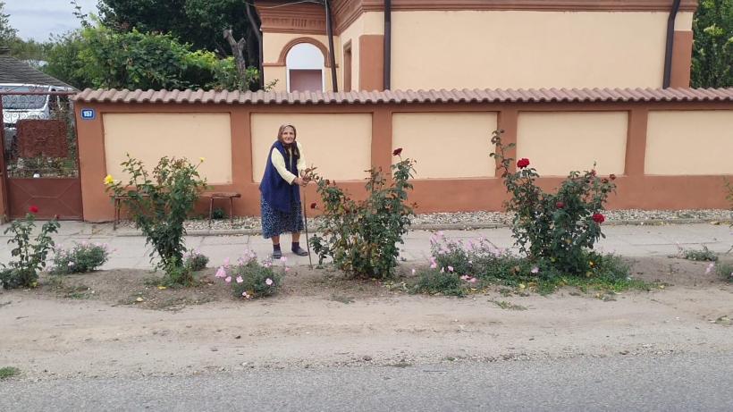 Așteptând „cicloviitura” pe Dunăre: „Nici la macaz nu ne doare!”.  Ca pe vremea lui Ceaușescu: inspecția digurilor pregătită cu tunsul boscheților 18919969