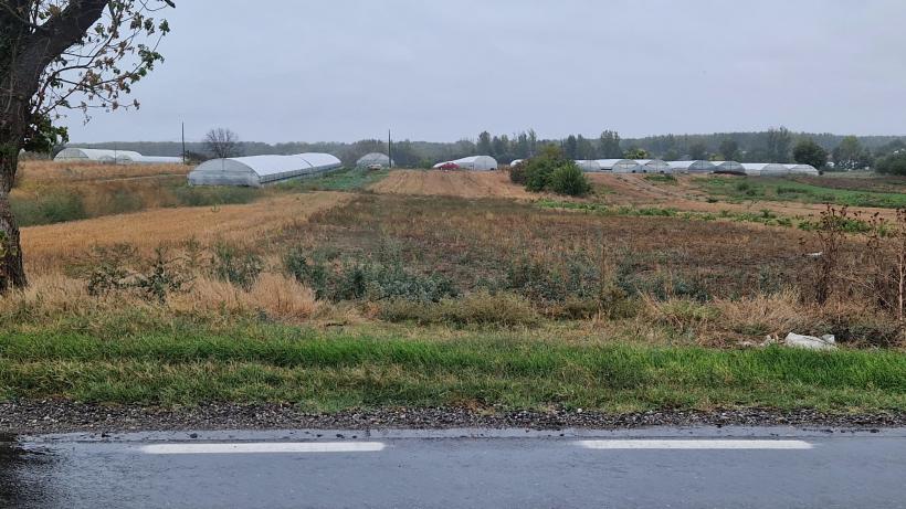 Așteptând „cicloviitura” pe Dunăre: „Nici la macaz nu ne doare!”.  Ca pe vremea lui Ceaușescu: inspecția digurilor pregătită cu tunsul boscheților 18919978