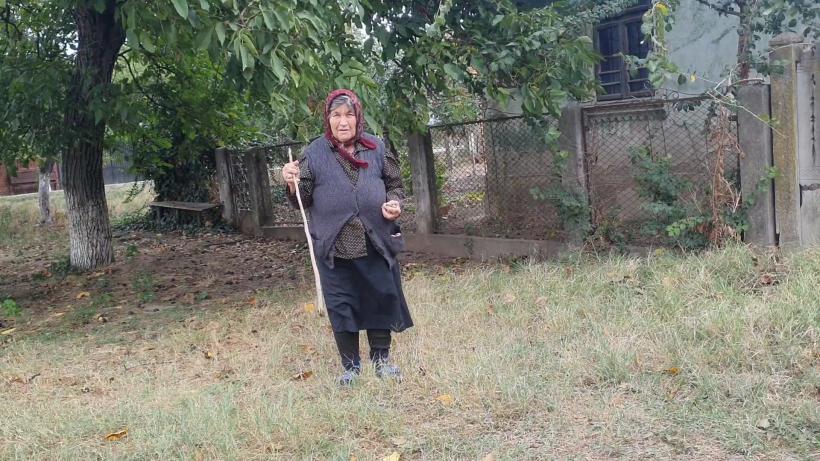 Așteptând „cicloviitura” pe Dunăre: „Nici la macaz nu ne doare!”.  Ca pe vremea lui Ceaușescu: inspecția digurilor pregătită cu tunsul boscheților 18919981