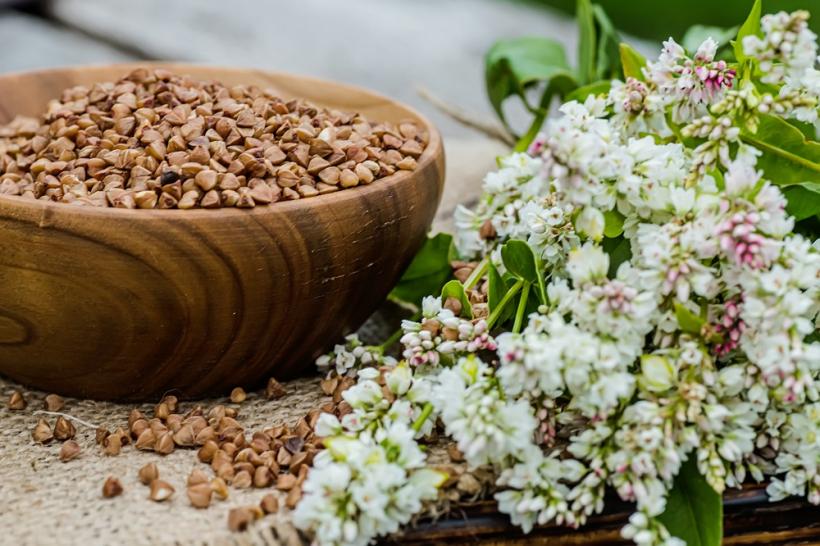 Hrișca și porumbul mov, acceleratoare ale metabolismului 18919915