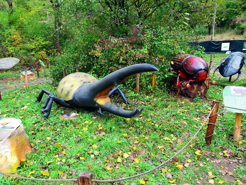 Transilvania în miniatură, pentru copiii până la 100 de ani 18920176