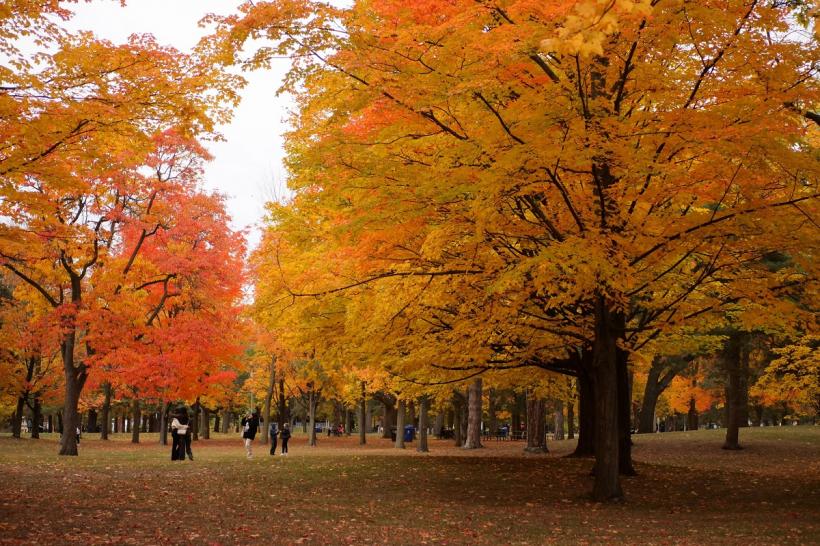 București - de la căldură de vară, la ploi și răcoare