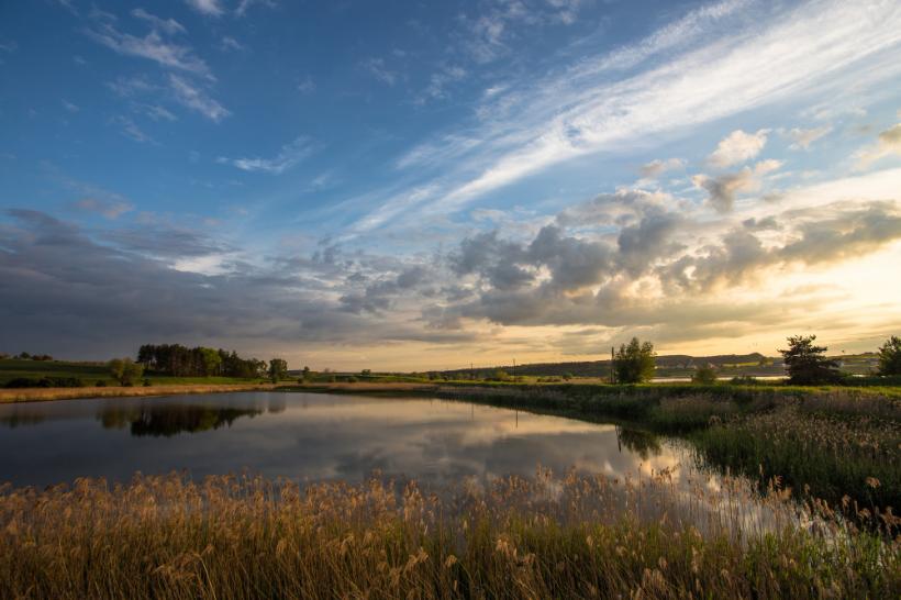 Ce poți face într-o excursie de o zi în Delta Dunării?